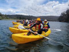 4hr Kayaking Lesson and River Serenity Tour
